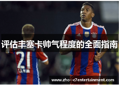 评估丰塞卡帅气程度的全面指南 评估丰塞卡帅气程度的全面指南
