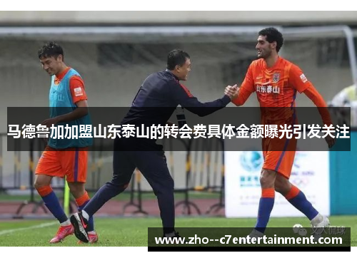 马德鲁加加盟山东泰山的转会费具体金额曝光引发关注 马德鲁加加盟山东泰山的转会费具体金额曝光引发关注