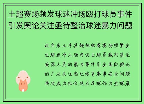 土超赛场频发球迷冲场殴打球员事件引发舆论关注亟待整治球迷暴力问题 土超赛场频发球迷冲场殴打球员事件引发舆论关注亟待整治球迷暴力问题