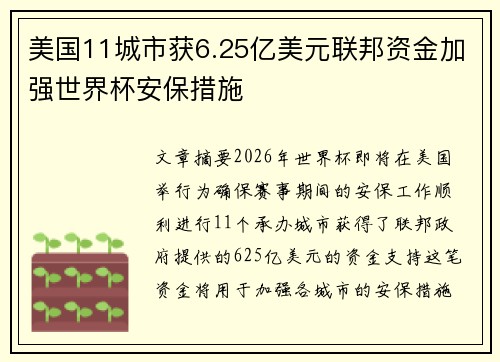 美国11城市获6.25亿美元联邦资金加强世界杯安保措施