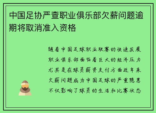 中国足协严查职业俱乐部欠薪问题逾期将取消准入资格 中国足协严查职业俱乐部欠薪问题逾期将取消准入资格