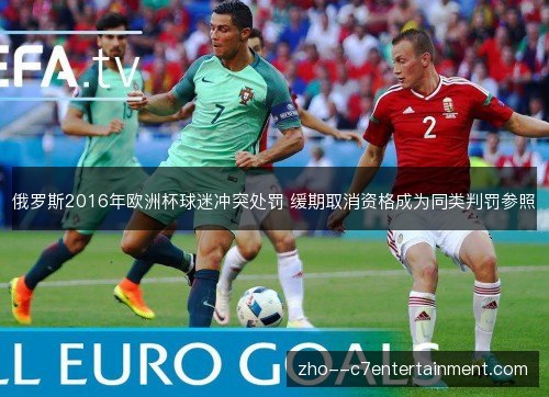 俄罗斯2016年欧洲杯球迷冲突处罚 缓期取消资格成为同类判罚参照